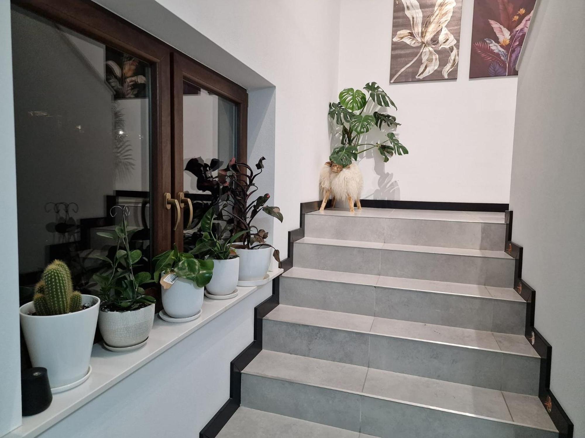 Male Ciche 36J Przy Ostrewkach, Widok Na Gory, Blisko Do Wyciagu Narciarskiego, Idealne Miejsce Na Wypad W Gory -Tarasowka-Zgorzelisko-Rusinowa Polana-Gesia Szyja-Palenica-Wiktorowki-Morskie Oko مورزاسيخله المظهر الخارجي الصورة